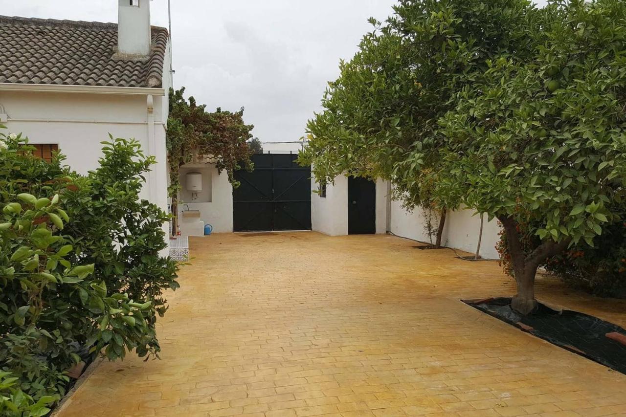 Gran Casa Rural Con Patio En Encinarejo De Cordoba 외부 사진